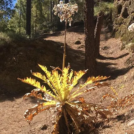 Numancia1-2b Διαμέρισμα