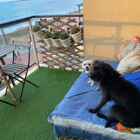 Numancia1-2b Διαμέρισμα Λας Πάλμας ντε Γκραν Κανάρια